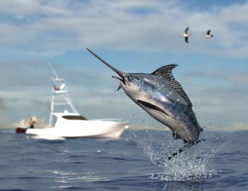 swordfish jumping in front of fishing boat in background